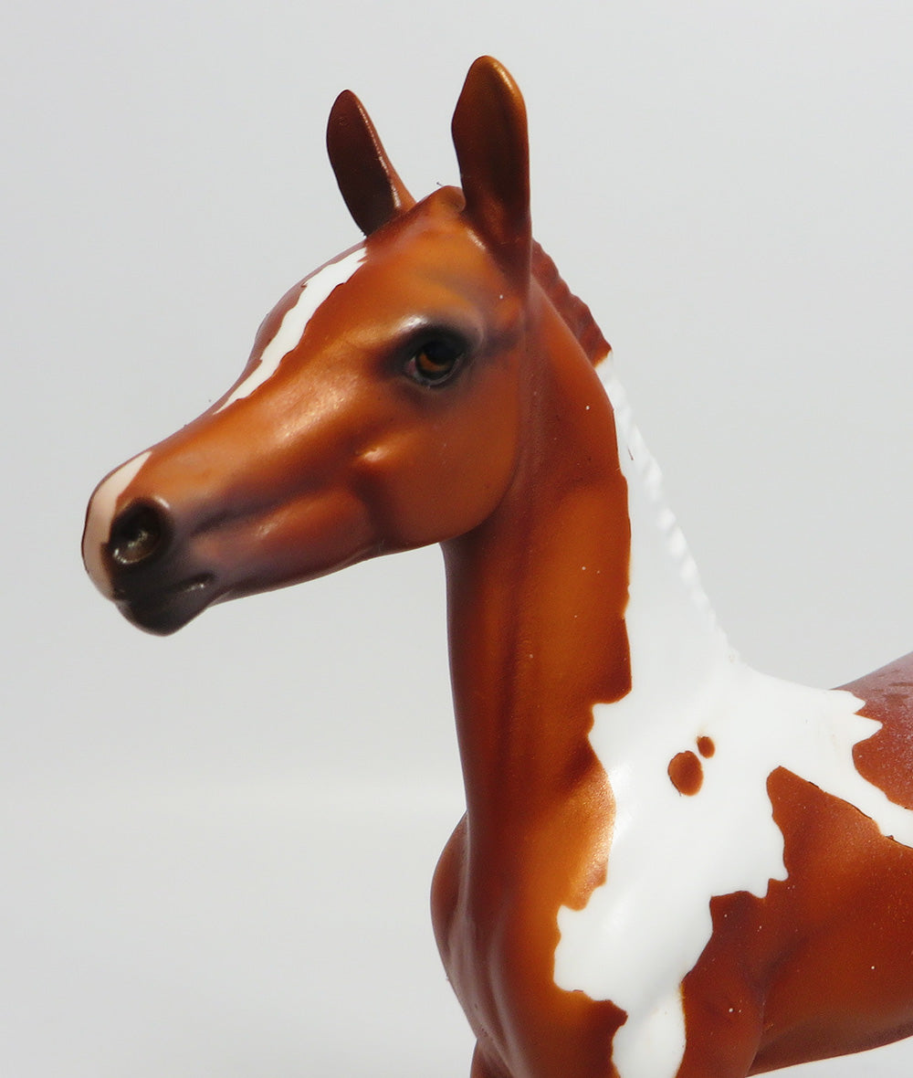 LADY BUG-OOAK CHESTNUT PINTALOOSA FOAL MODEL HORSE 6/2/17
