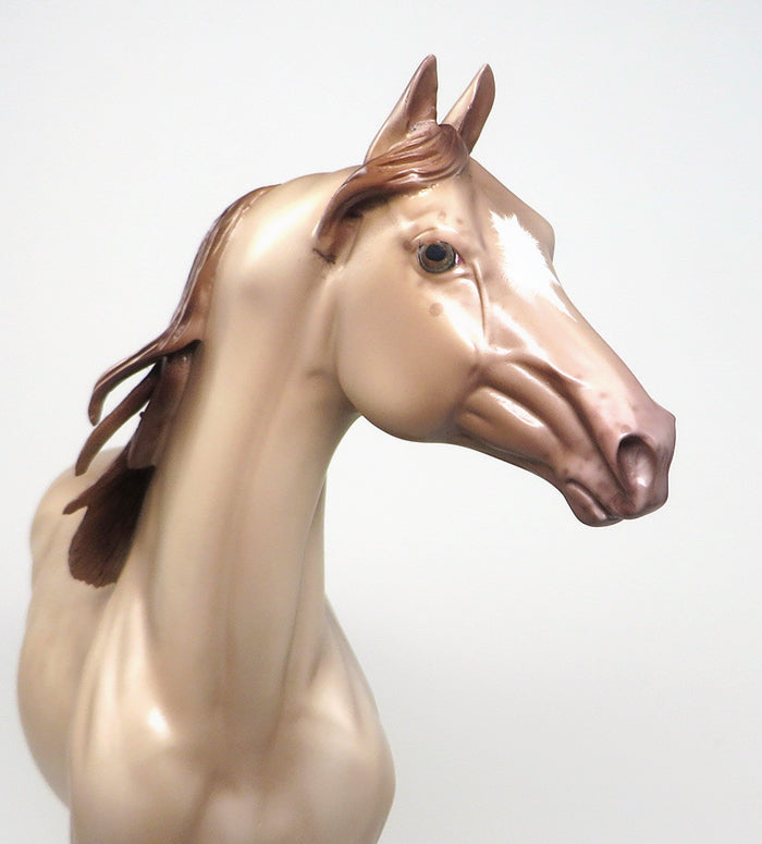ZOOLANDER - OOAK REVERSE DAPPLE CHAMPAGNE MORGAN MODEL HORSE by SHERYL LEISURE - 1/29