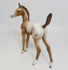 Appaloosa