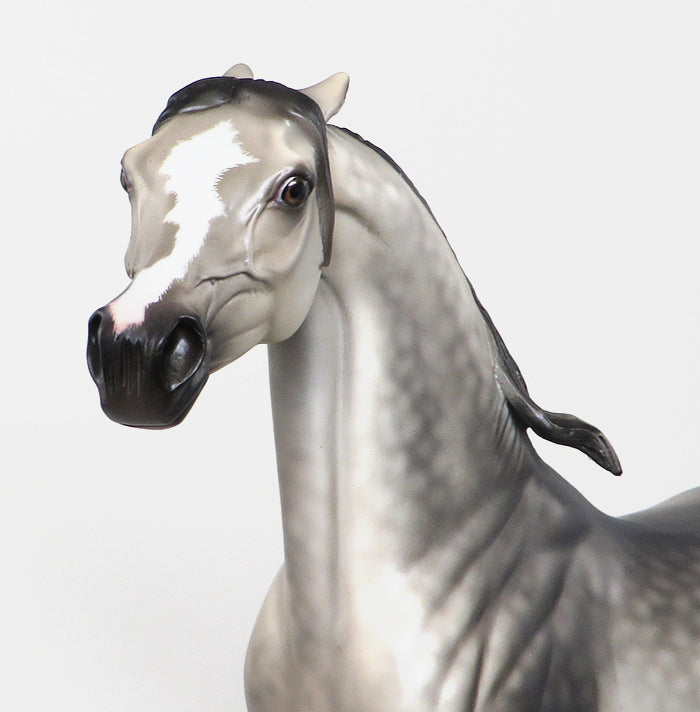 TWO MILES FOR SISTER SARA - OOAK DAPPLE GREY ARABIAN MODEL HORSE by SHERYL LEISURE - 12/5