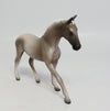 Warmblood