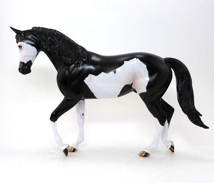 PEARCE-BLACK PINTO THOROUGH BRED-OOAK 10/2