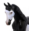 PEARCE-BLACK PINTO THOROUGH BRED-OOAK 10/2