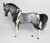 Andalusian