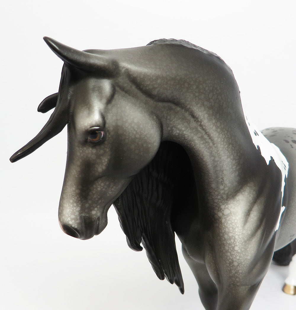 MAMBO~OOAK LOUD APPALOOSA TAIL PONY MODEL HORSE 6/6/17