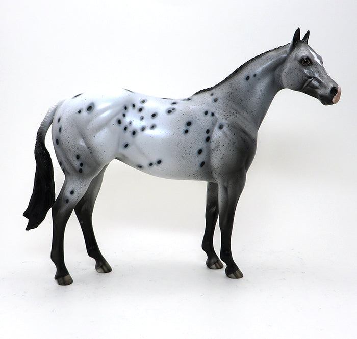 EXCELSIOR-APPALOOSA-MARE- ISH-OOAK 10/15