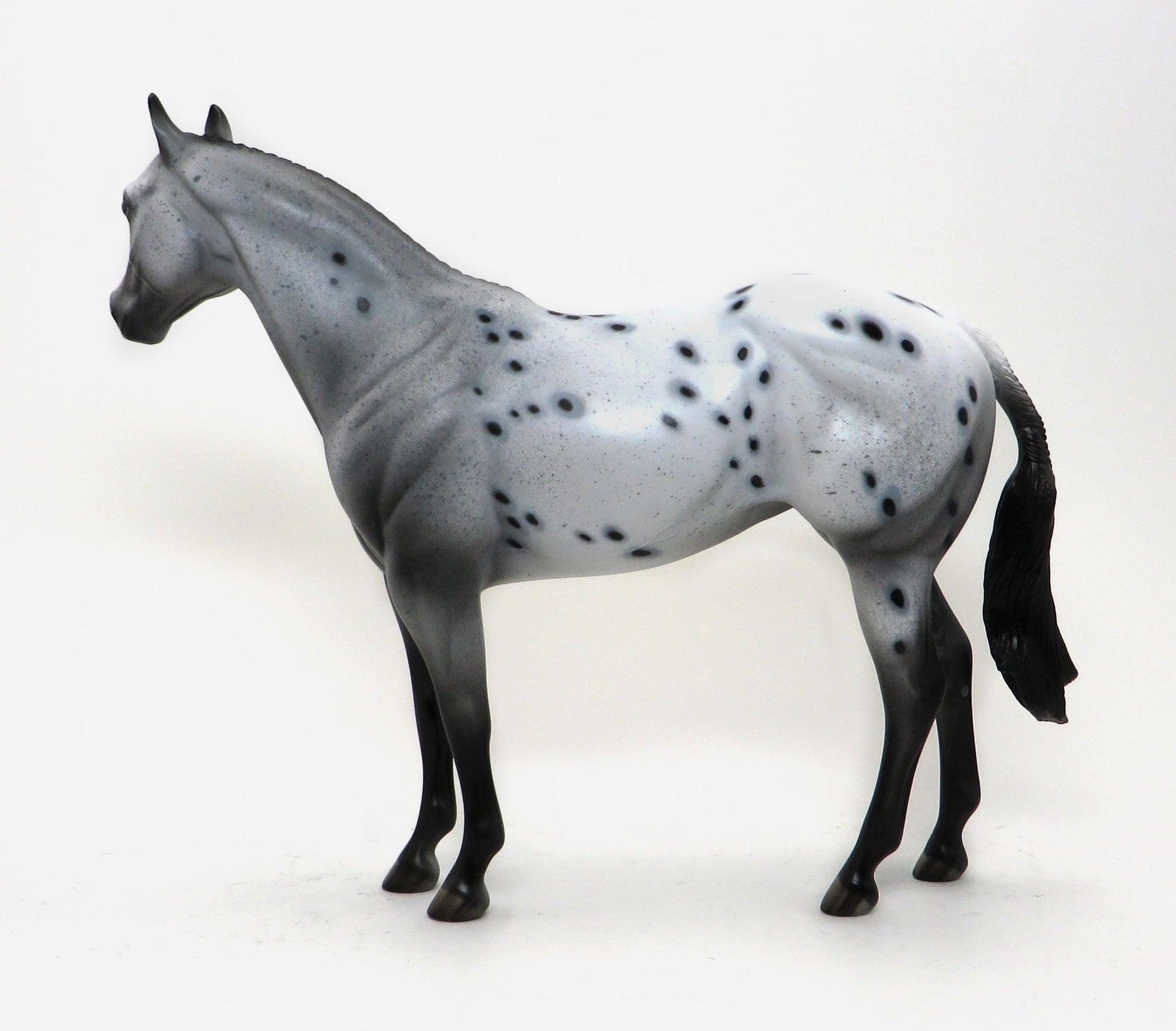 EXCELSIOR-APPALOOSA-MARE- ISH-OOAK 10/15