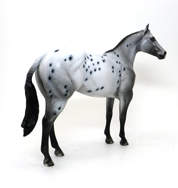 EXCELSIOR-APPALOOSA-MARE- ISH-OOAK 10/15