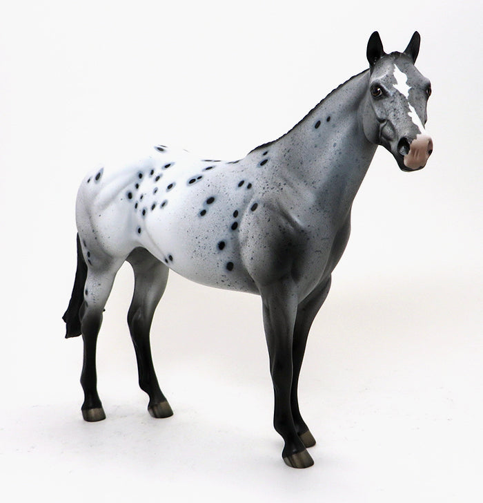 EXCELSIOR-APPALOOSA-MARE- ISH-OOAK 10/15