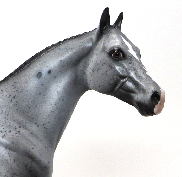 EXCELSIOR-APPALOOSA-MARE- ISH-OOAK 10/15
