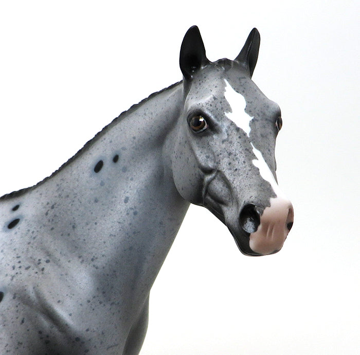 EXCELSIOR-APPALOOSA-MARE- ISH-OOAK 10/15