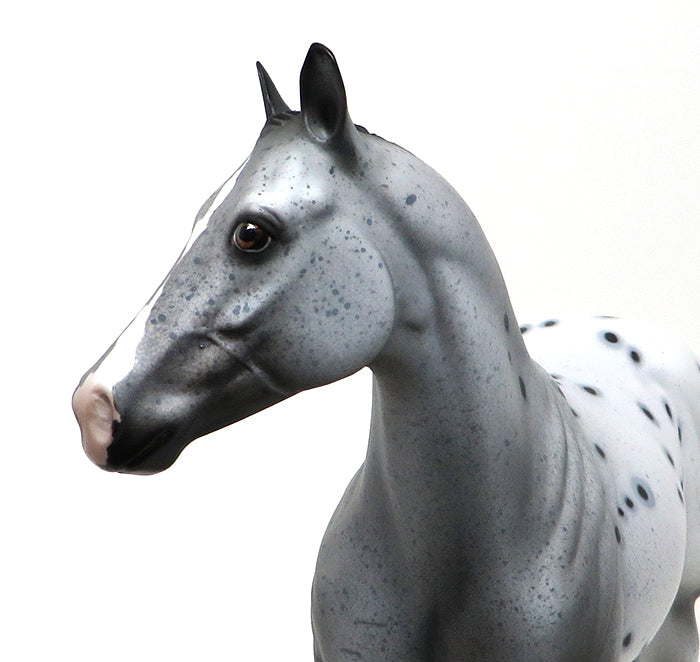 EXCELSIOR-APPALOOSA-MARE- ISH-OOAK 10/15