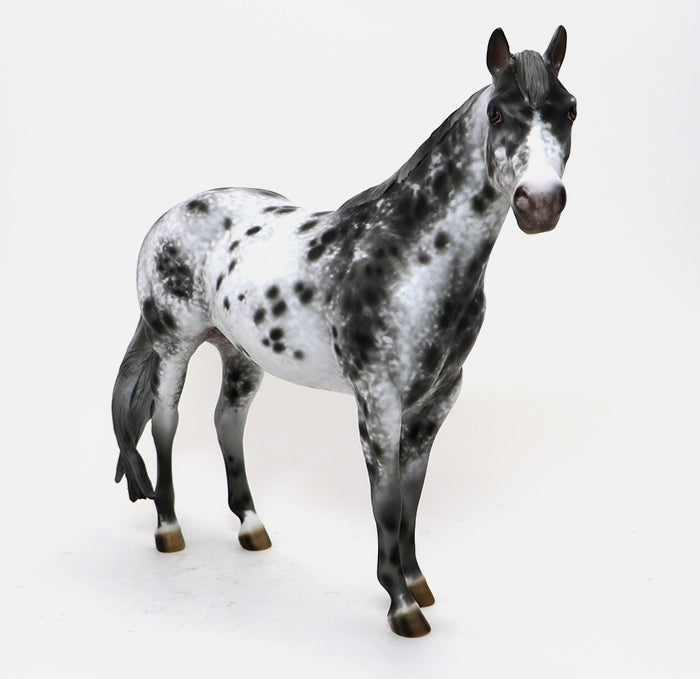 LENNON - OOAK APPALOOSA ISH MODEL HORSE - 10/15