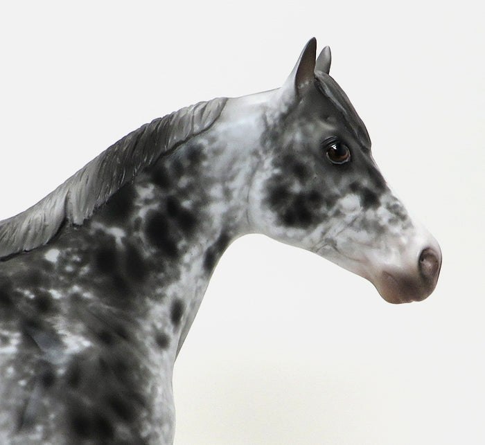 LENNON - OOAK APPALOOSA ISH MODEL HORSE - 10/15