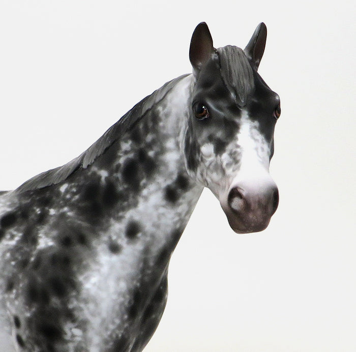 LENNON - OOAK APPALOOSA ISH MODEL HORSE - 10/15
