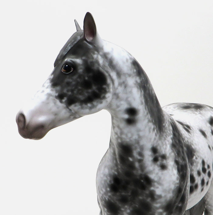 LENNON - OOAK APPALOOSA ISH MODEL HORSE - 10/15