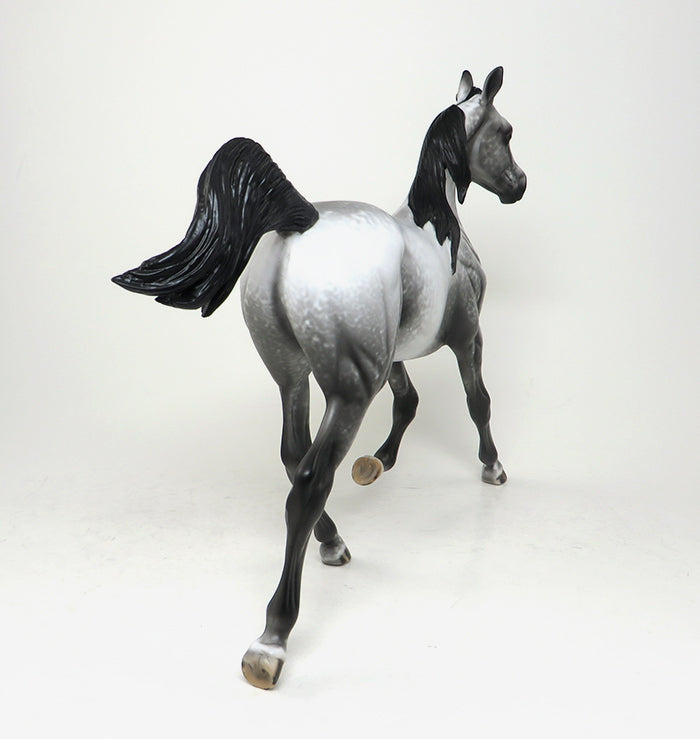 ROGUE ONE - OOAK BLACK LACY APPALOOSA YEARLING MODEL HORSE - 1/29