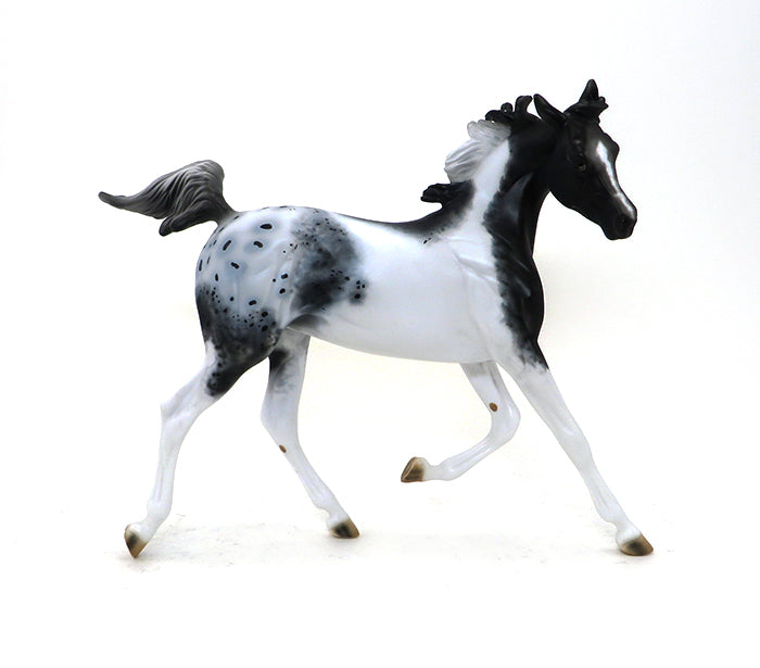 DHARMA - OOAK APPALOOSA MODEL HORSE YEARLING - 10/15