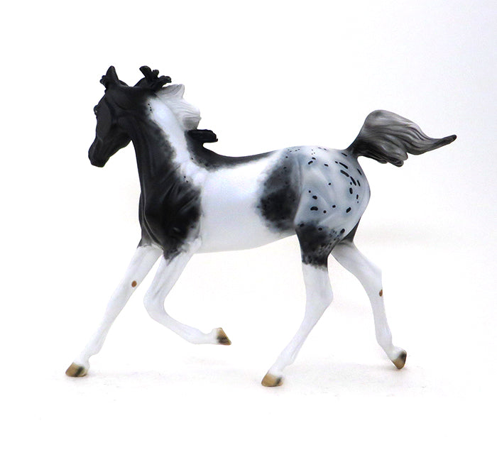 DHARMA - OOAK APPALOOSA MODEL HORSE YEARLING - 10/15
