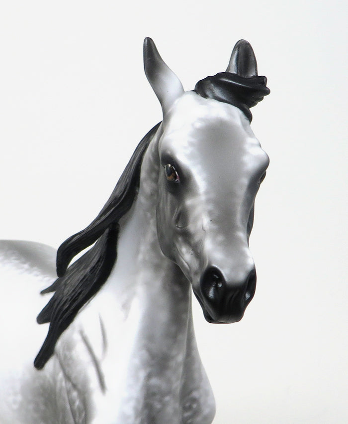 ROGUE ONE - OOAK BLACK LACY APPALOOSA YEARLING MODEL HORSE - 1/29