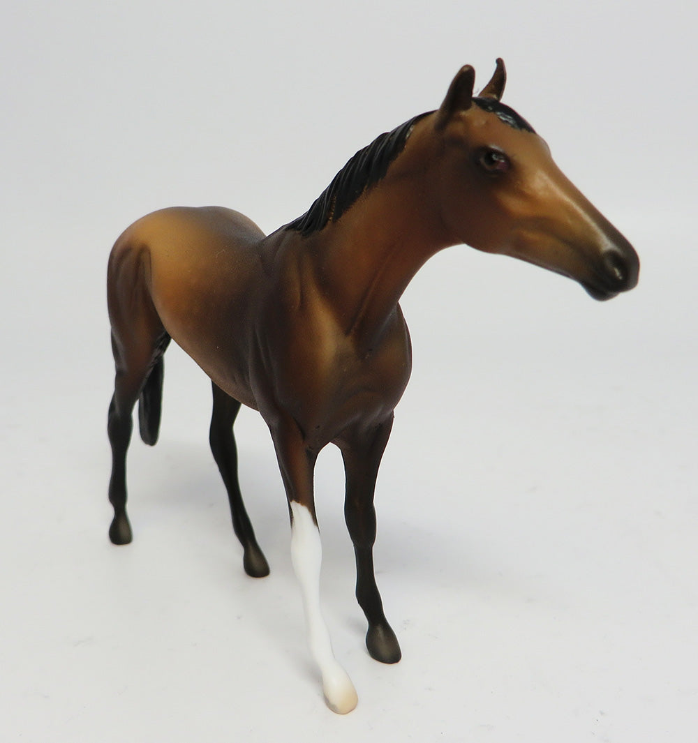 SPEND A BUCK-LE-3 DAPPLED BROWN BAY THOROUGHBRED CHIP 6/7/17