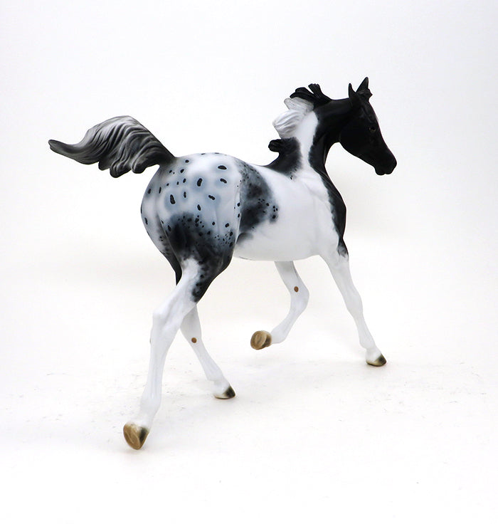 DHARMA - OOAK APPALOOSA MODEL HORSE YEARLING - 10/15