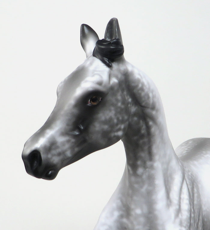 ROGUE ONE - OOAK BLACK LACY APPALOOSA YEARLING MODEL HORSE - 1/29