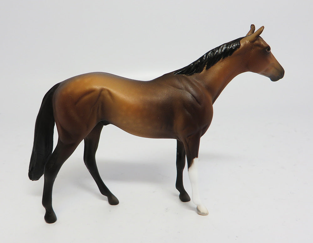 SPEND A BUCK-LE-3 DAPPLED BROWN BAY THOROUGHBRED CHIP 6/7/17