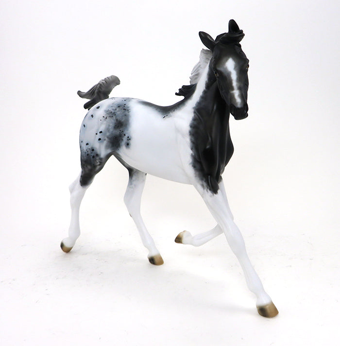 DHARMA - OOAK APPALOOSA MODEL HORSE YEARLING - 10/15