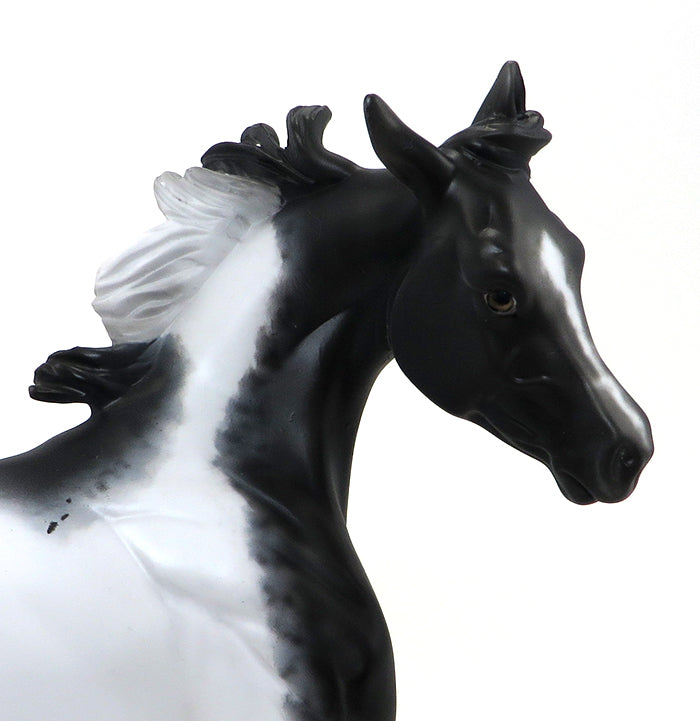 DHARMA - OOAK APPALOOSA MODEL HORSE YEARLING - 10/15