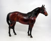 bay horse