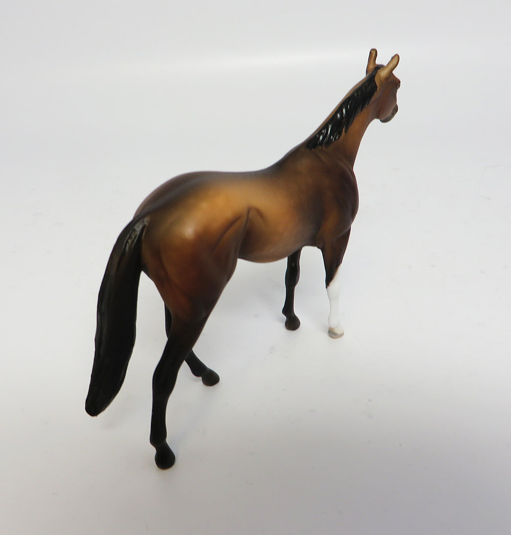 SPEND A BUCK-LE-3 DAPPLED BROWN BAY THOROUGHBRED CHIP 6/7/17