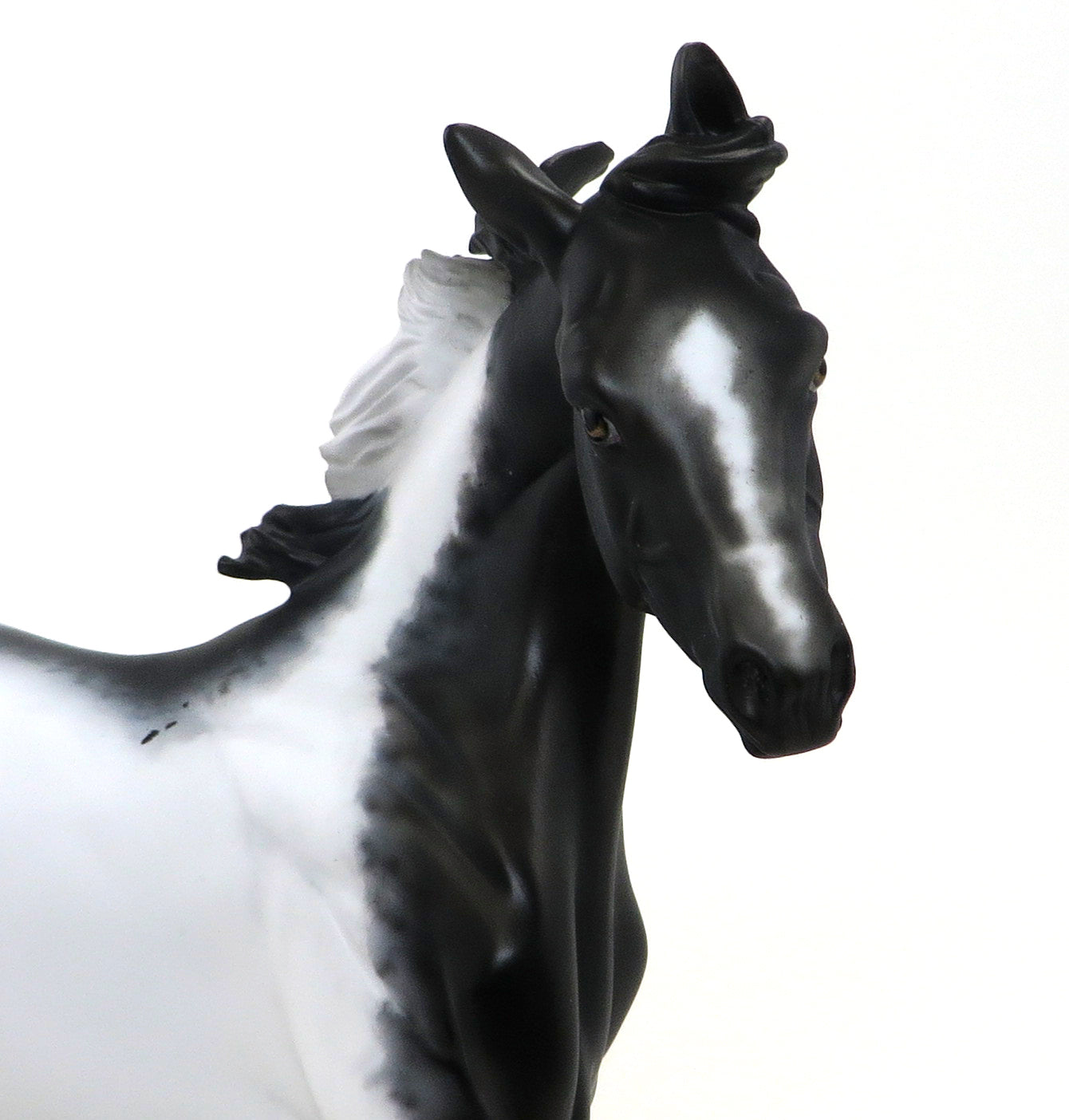 DHARMA - OOAK APPALOOSA MODEL HORSE YEARLING - 10/15