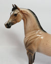 BUCKSKIN