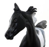 DHARMA - OOAK APPALOOSA MODEL HORSE YEARLING - 10/15