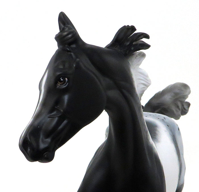 DHARMA - OOAK APPALOOSA MODEL HORSE YEARLING - 10/15