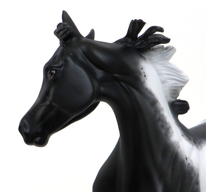 DHARMA - OOAK APPALOOSA MODEL HORSE YEARLING - 10/15