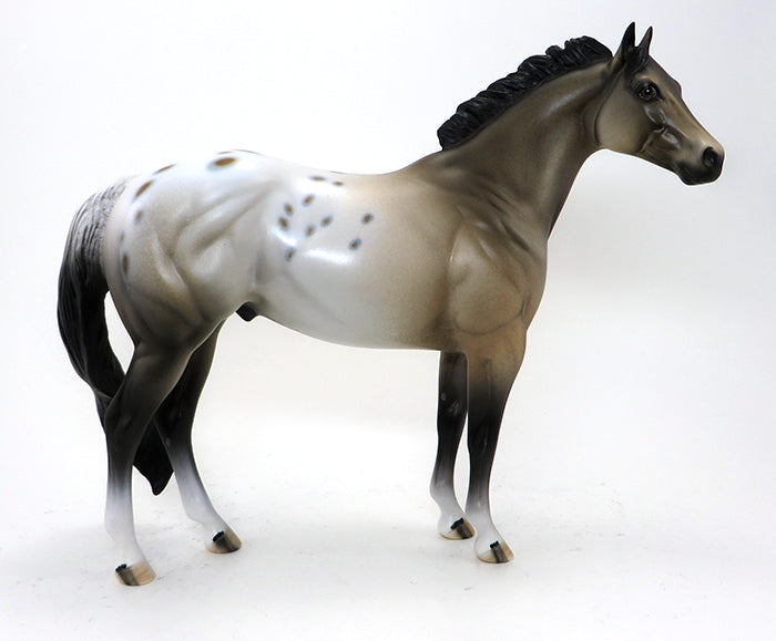 BASIL- BUCKSKIN-APPALOOSA -ISH-OOAK-10/15