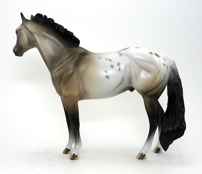 BASIL- BUCKSKIN-APPALOOSA -ISH-OOAK-10/15