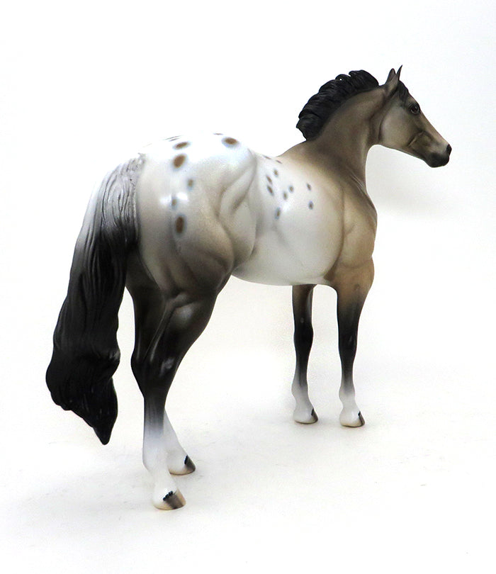 BASIL- BUCKSKIN-APPALOOSA -ISH-OOAK-10/15