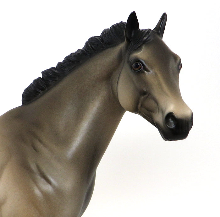 BASIL- BUCKSKIN-APPALOOSA -ISH-OOAK-10/15