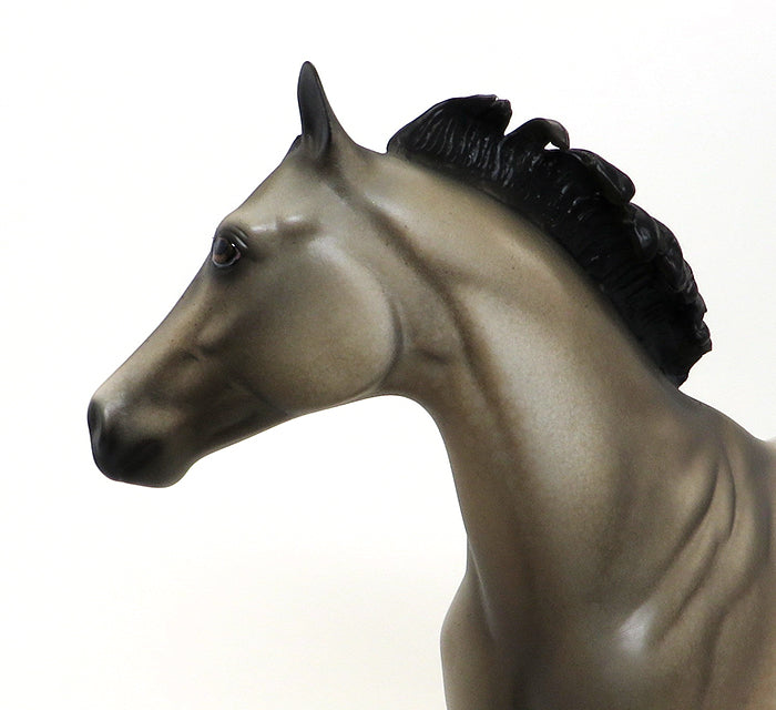 BASIL- BUCKSKIN-APPALOOSA -ISH-OOAK-10/15