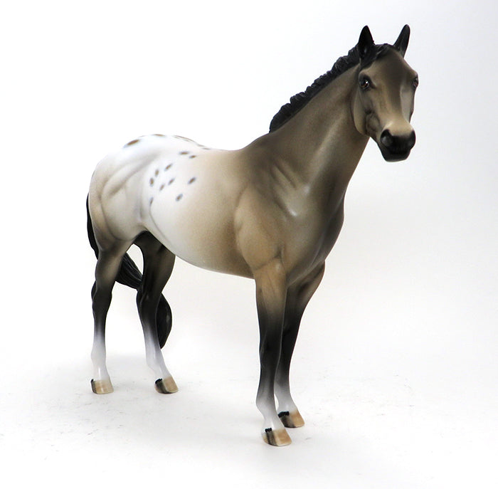 BASIL- BUCKSKIN-APPALOOSA -ISH-OOAK-10/15