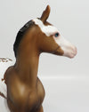 DREAMER-OOAK BAY PINTO FOAL MODEL HORSE 6/8/17