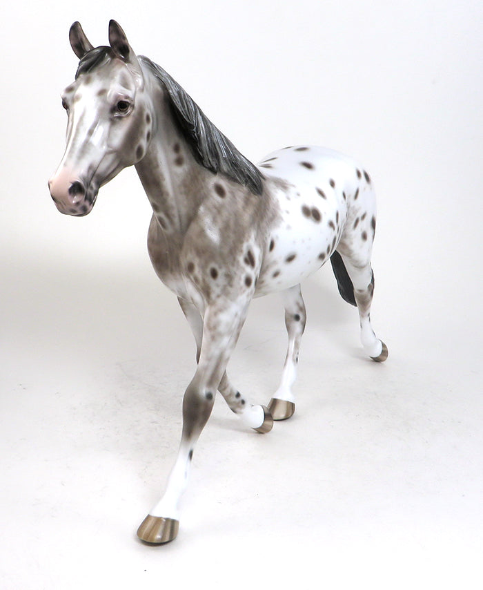 MY SOMEDAY-OOAK -BAY APPALOOSA PALOUSE-By Sheryl Leisure 12/11