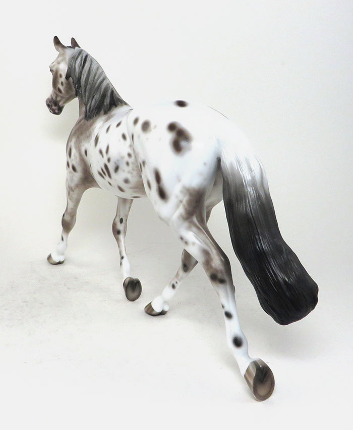 MY SOMEDAY-OOAK -BAY APPALOOSA PALOUSE-By Sheryl Leisure 12/11