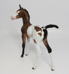 DREAMER-OOAK BAY PINTO FOAL MODEL HORSE 6/8/17