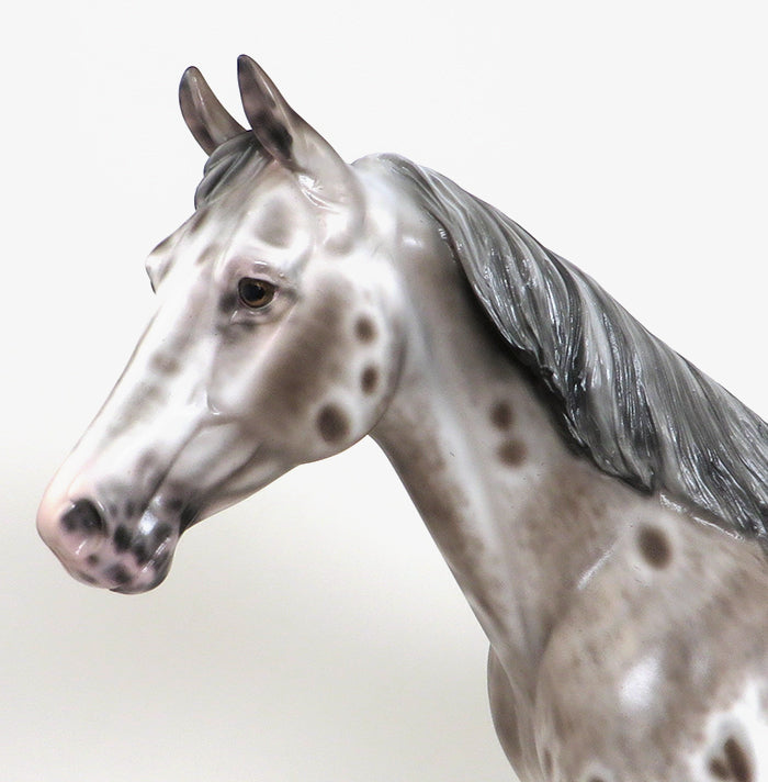 MY SOMEDAY-OOAK -BAY APPALOOSA PALOUSE-By Sheryl Leisure 12/11
