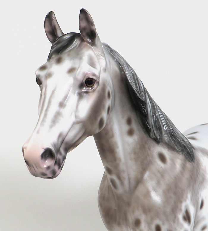 MY SOMEDAY-OOAK -BAY APPALOOSA PALOUSE-By Sheryl Leisure 12/11