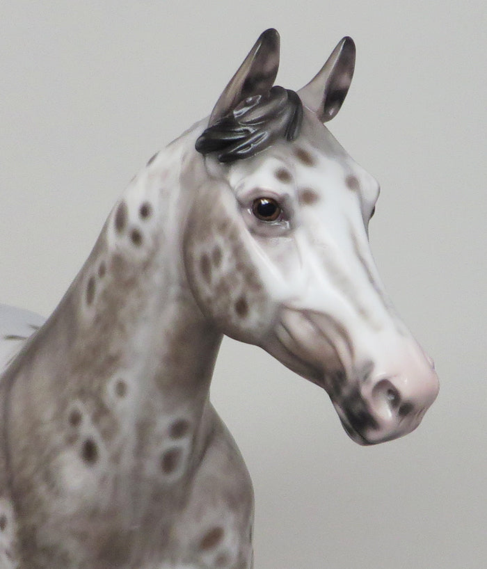 MY SOMEDAY-OOAK -BAY APPALOOSA PALOUSE-By Sheryl Leisure 12/11